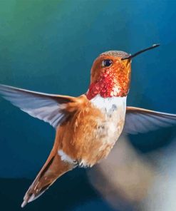 Flying Rufous Hummingbird Diamond Painting