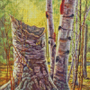 Forest White Birches Diamond Painting