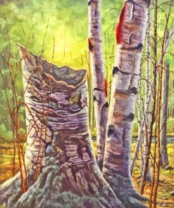 Forest White Birches Diamond Painting