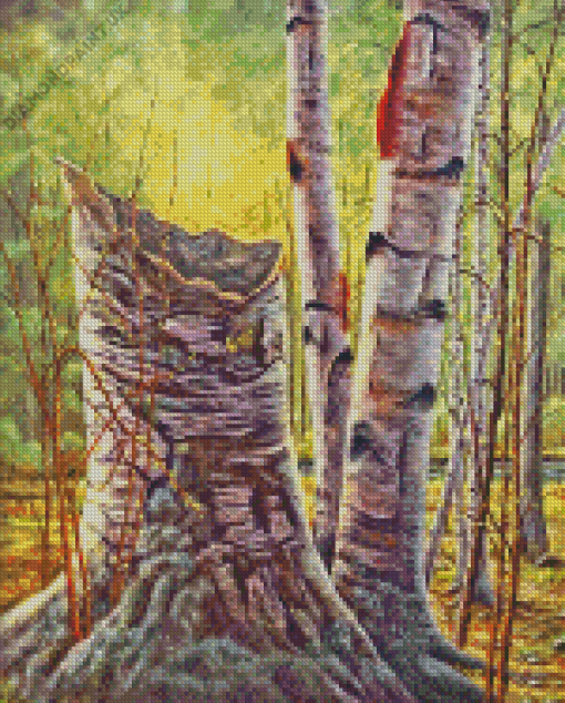 Forest White Birches Diamond Painting