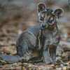 Fossa Animal Diamond Painting