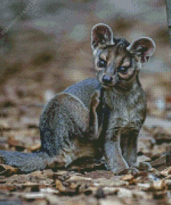 Fossa Animal Diamond Painting