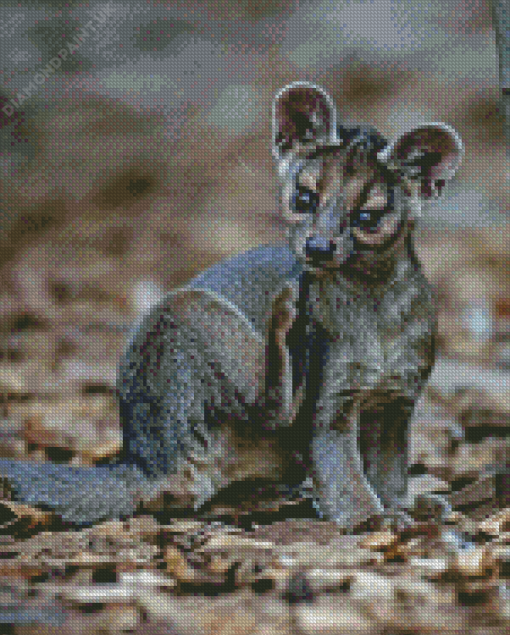 Fossa Animal Diamond Painting