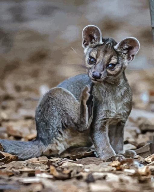 Fossa Animal Diamond Painting