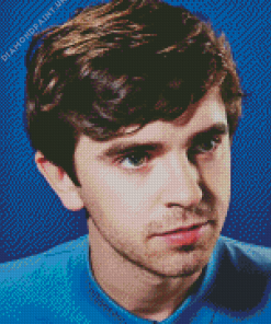 Freddie Highmore Diamond Painting