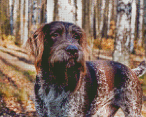 German Wirehaired Diamond Painting