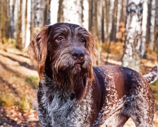 German Wirehaired Diamond Painting