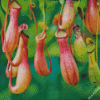 Hanging Carnivorous Plant Diamond Painting