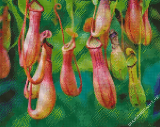 Hanging Carnivorous Plant Diamond Painting