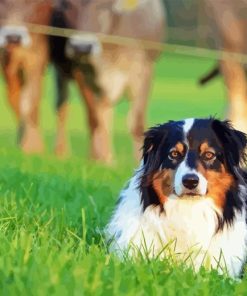 Herding Dog Diamond Painting