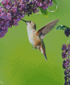 Hummingbird And Purple Flowering Plant Diamond Painting