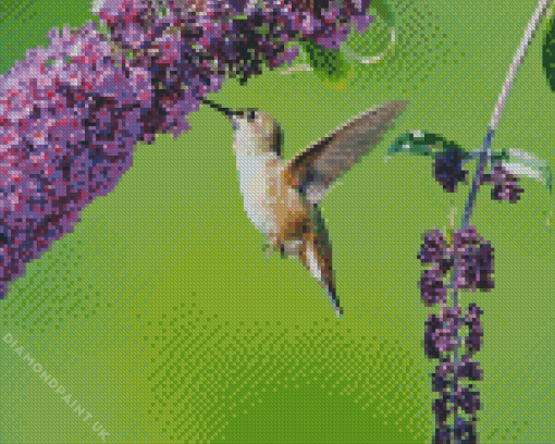 Hummingbird And Purple Flowering Plant Diamond Painting