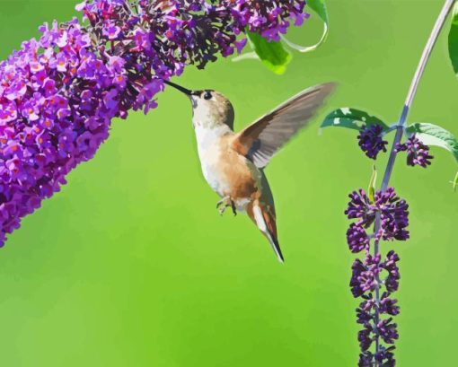 Hummingbird And Purple Flowering Plant Diamond Painting