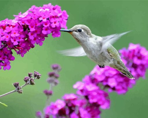 Hummingbird With Lilacs Diamond Painting