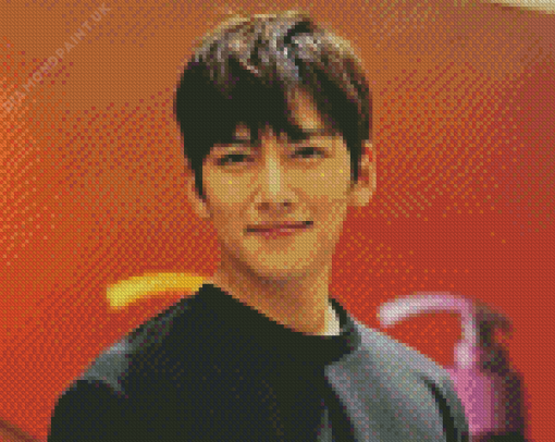 Ji Chang Wook Diamond Painting