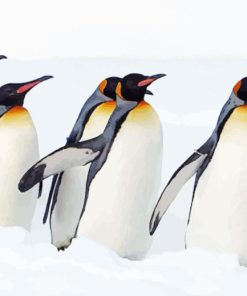 King Penguins In Snow Diamond Painting