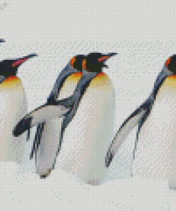 King Penguins In Snow Diamond Painting