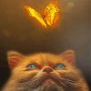 Kitten With Golden Butterfly Diamond Painting