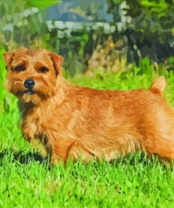 Light Brown Norfolk Terrier Diamond Painting