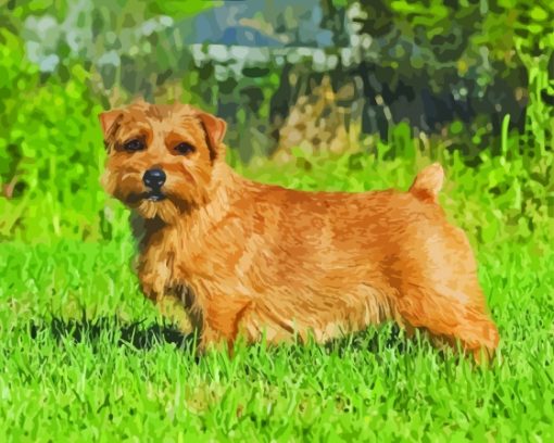 Light Brown Norfolk Terrier Diamond Painting