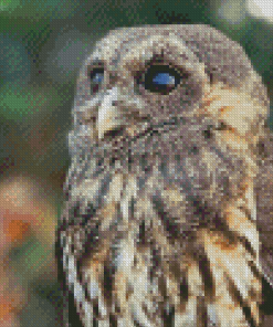 Marbled Owl Bird Diamond Painting