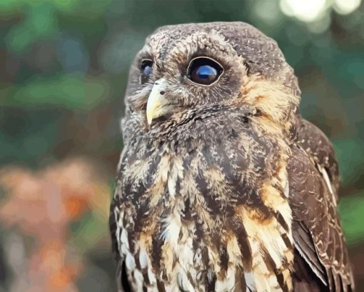 Marbled Owl Bird Diamond Painting