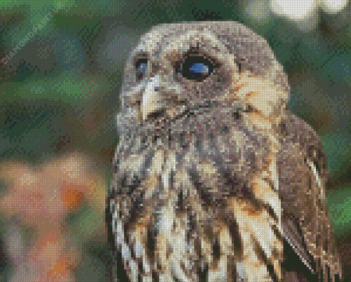 Marbled Owl Bird Diamond Painting