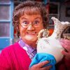 Mrs Browns Boy Diamond Painting