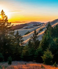 Mt Tamalpais Diamond Painting