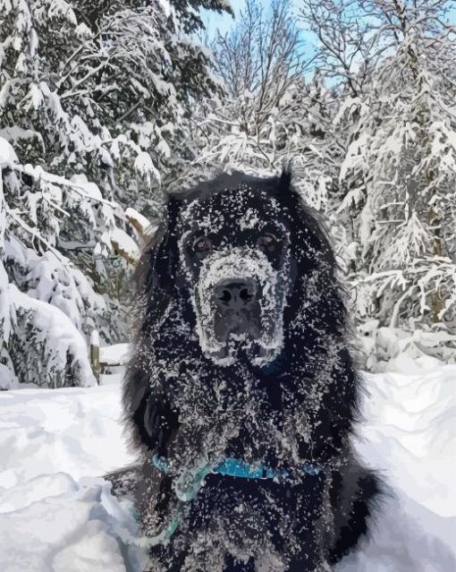 Newfoundland In Snow Diamond Painting