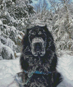 Newfoundland In Snow Diamond Painting