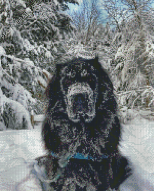 Newfoundland In Snow Diamond Painting