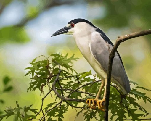 Night Heron On Tree Diamond Painting