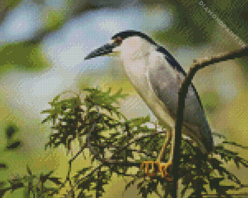 Night Heron On Tree Diamond Painting