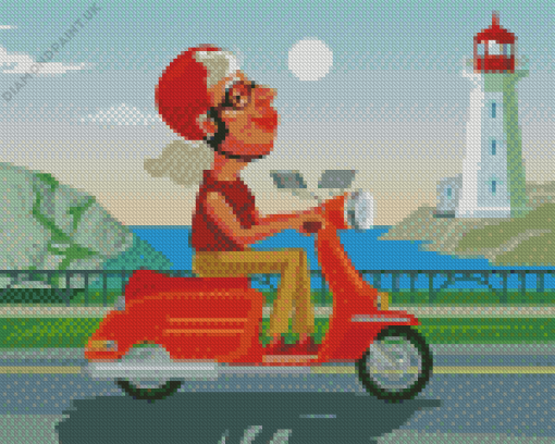 Old Lady On Scooter Diamond Painting