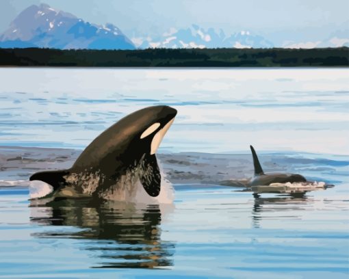 Orcas In Antarctican Sea Diamond Painting