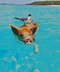 Pig In The Beach Diamond Painting