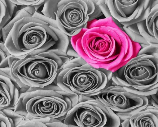 Pink And Grey Roses Diamond Painting
