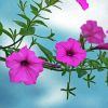 Pink Morning Glory Branch Diamond Painting