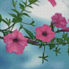 Pink Morning Glory Branch Diamond Painting