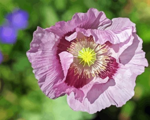 Purple Poppy Plant Diamond Painting