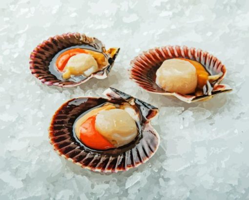 Raw Scallops Diamond Painting