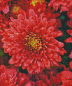 Red Chrysanthemum Diamond Painting