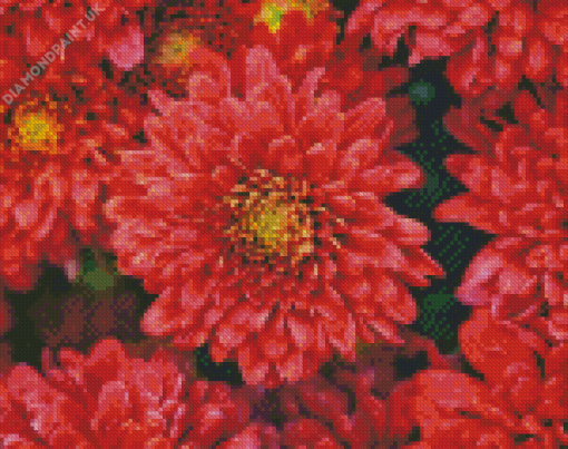 Red Chrysanthemum Diamond Painting