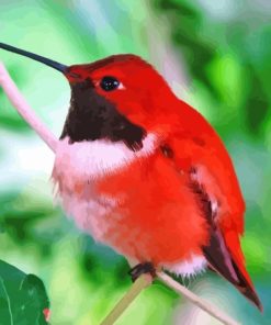 Red Hummingbird Diamond Painting