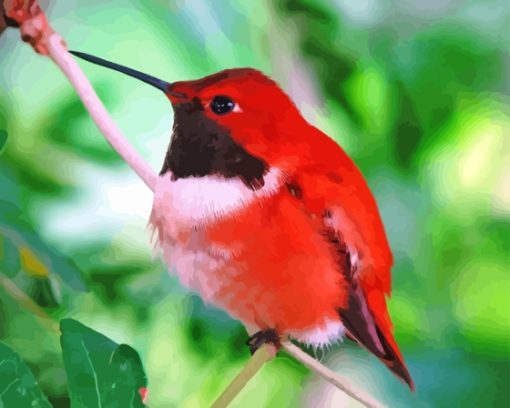 Red Hummingbird Diamond Painting