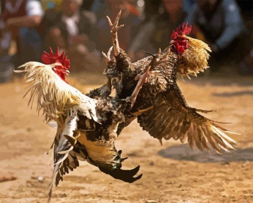 Rooster Fighting Diamond Painting