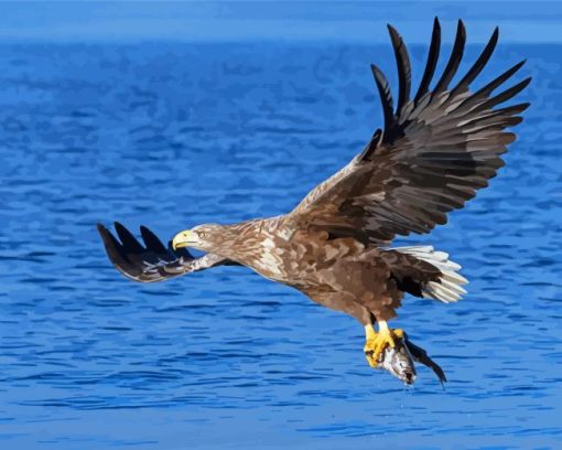 Sea Eagle Catching Fish Diamond Painting