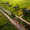 Sekinchan Padi Fields Diamond Painting