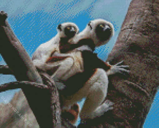 Sifaka Diamond Painting